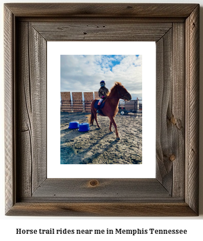 horse trail rides near me in Memphis, Tennessee